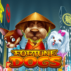 PAWIN88 HB slot Fortune Dogs