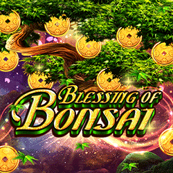 PAWIN88 HOTD slot Blessing of Bonsai
