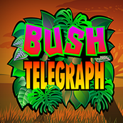 PAWIN88 MG slot Bush Telegraph