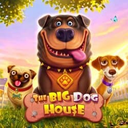 PAWIN88 PP slot The Big Dog House