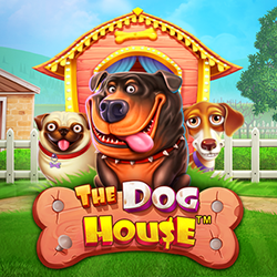 PAWIN88 PP slot The Dog House