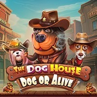 PAWIN88 PP slot The Dog House – Dog or Alive