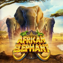 PAWIN88 PP slot African Elephant