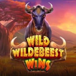 PAWIN88 PP slot Wild Wildebeest Wins