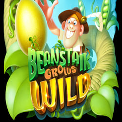 PAWIN88 RELAX slot Beanstalk Grows Wild